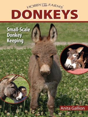 Donkeys - ebook